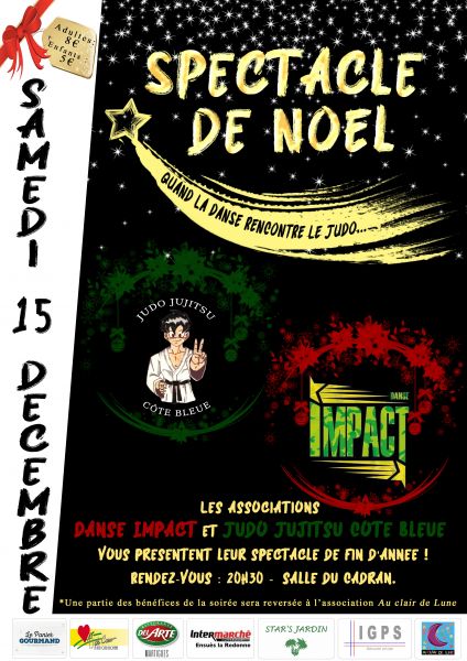 Spectacle de Noël Judo Danse